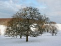 Snow Dawes Rd 1